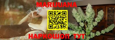 прущие грибы Обнинск