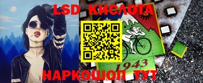 прущие грибы Обнинск