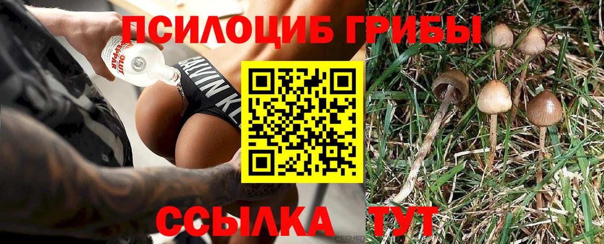 Псилоцибиновые грибы Cubensis  где купить наркоту  Строитель  Вход с VPN  Псилоцибиновые грибы Psilocybine cubensis 