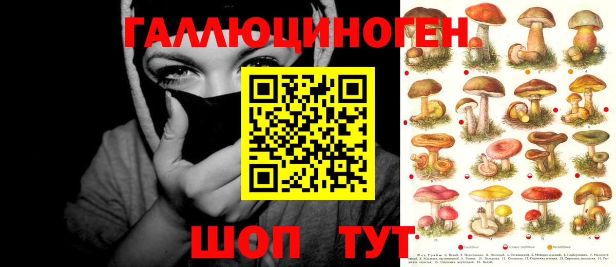 Псилоцибиновые грибы мицелий Строитель